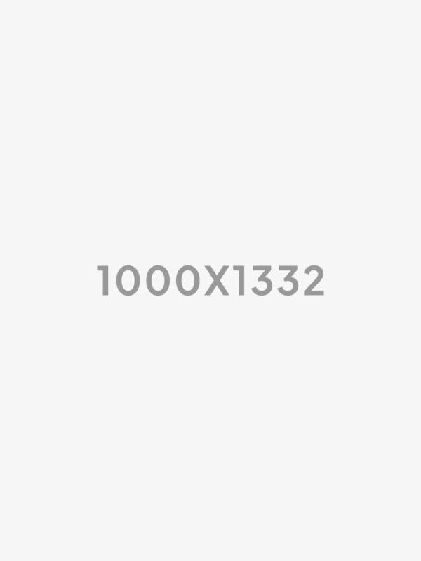 3007 shorts ripped jeans